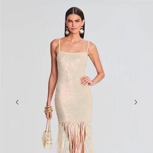 Retrofête NALU SEQUIN FRINGE CROCHET DRESS